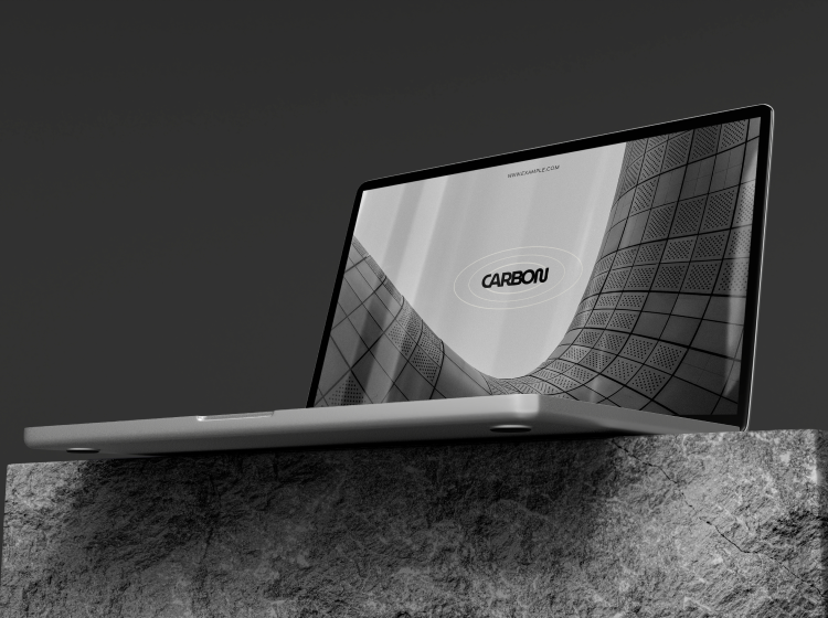 Project-Pic-1.png
