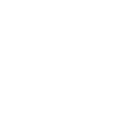 Experts (2)
